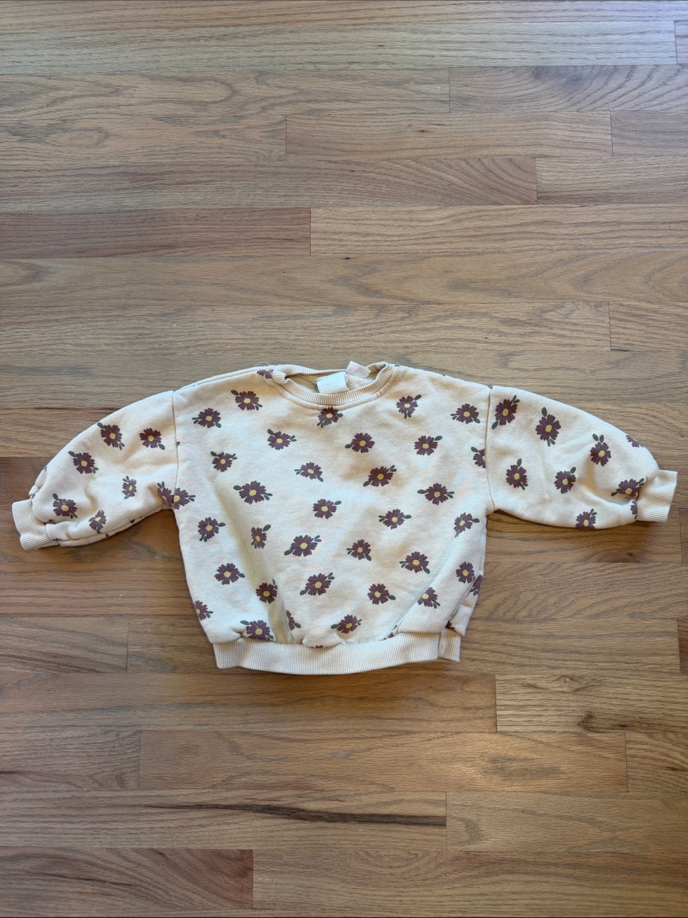 Zara Girls Tan Floral Sweatshirt 2T